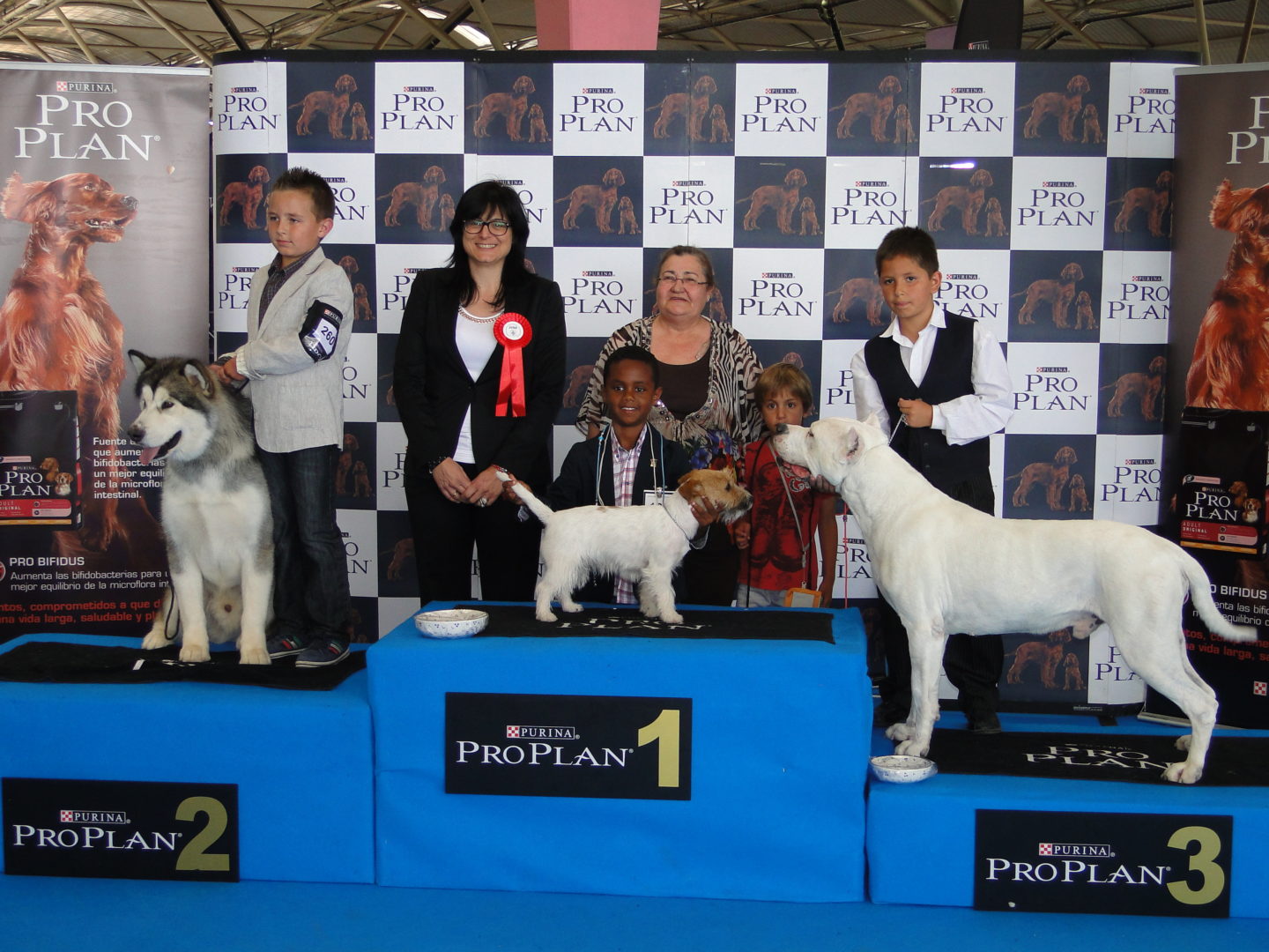 DSC09485 DSC09485