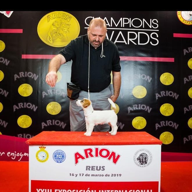 54523994_864849687193894_4707631022269792256_n 54523994_864849687193894_4707631022269792256_n