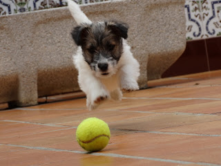 DSC01402R DSC01402R